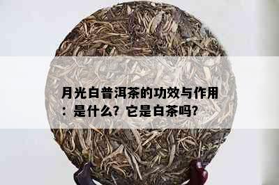 月光白普洱茶的功效与作用：是什么？它是白茶吗？