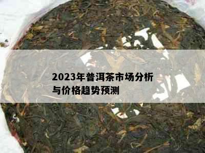 2023年普洱茶市场分析与价格趋势预测