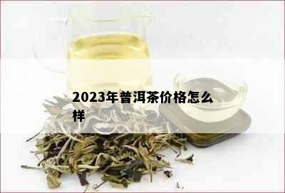 2023年普洱茶价格怎么样