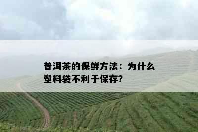 普洱茶的保鲜方法：为什么塑料袋不利于保存？