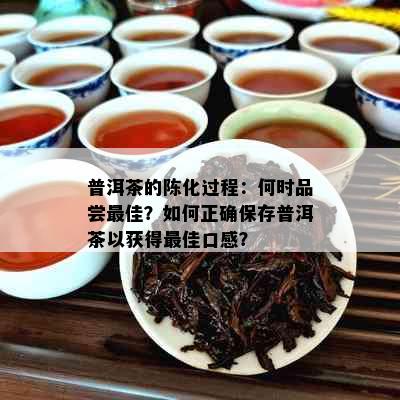 普洱茶的陈化过程：何时品尝更佳？如何正确保存普洱茶以获得更佳口感？