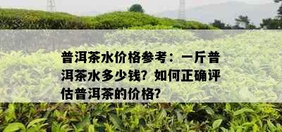 普洱茶水价格参考：一斤普洱茶水多少钱？如何正确评估普洱茶的价格？