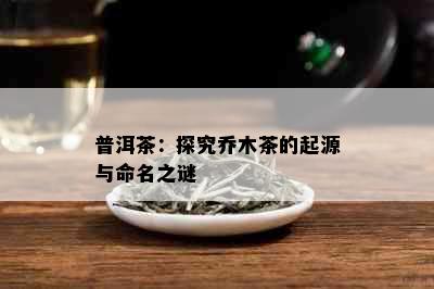 普洱茶：探究乔木茶的起源与命名之谜