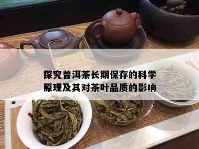 探究普洱茶长期保存的科学原理及其对茶叶品质的影响