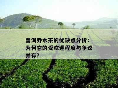 普洱乔木茶的优缺点分析：为何它的受欢迎程度与争议并存？