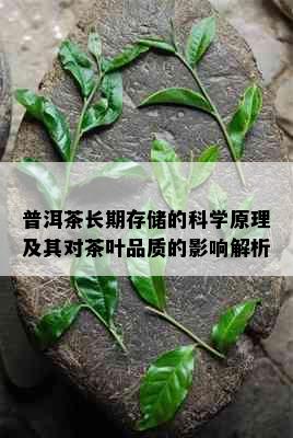 普洱茶长期存储的科学原理及其对茶叶品质的影响解析