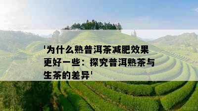 '为什么熟普洱茶减肥效果更好一些：探究普洱熟茶与生茶的差异'