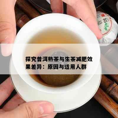 探究普洱熟茶与生茶减肥效果差异：原因与适用人群