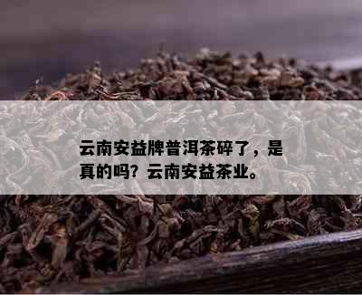 云南安益牌普洱茶碎了，是真的吗？云南安益茶业。