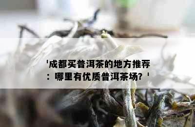 '成都买普洱茶的地方推荐：哪里有优质普洱茶场？'