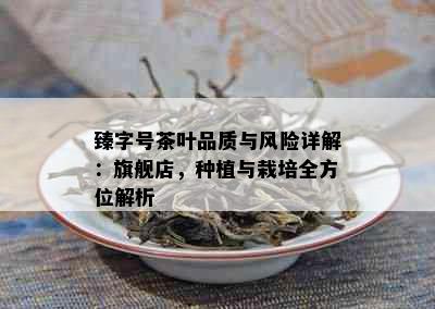 臻字号茶叶品质与风险详解：旗舰店，种植与栽培全方位解析