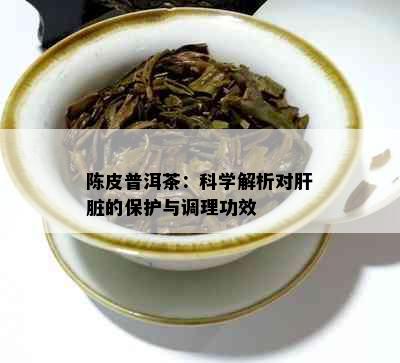 陈皮普洱茶：科学解析对肝脏的保护与调理功效