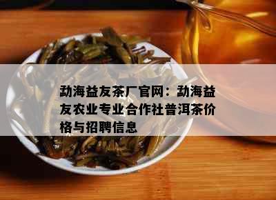 勐海益友茶厂官网：勐海益友农业专业合作社普洱茶价格与招聘信息