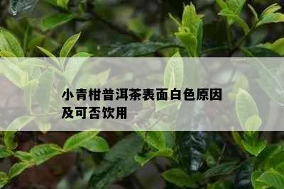 小青柑普洱茶表面白色原因及可否饮用