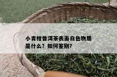 小青柑普洱茶表面白色物质是什么？如何鉴别？