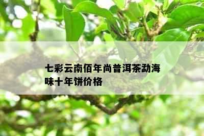 七彩云南佰年尚普洱茶勐海味十年饼价格