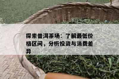 探索普洱茶场：了解更低价格区间，分析投资与消费差异