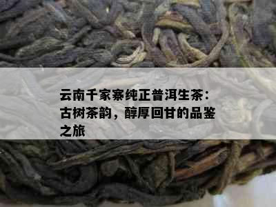 云南千家寨纯正普洱生茶：古树茶韵，醇厚回甘的品鉴之旅