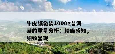 牛皮纸袋装1000g普洱茶的重量分析：精确感知，细致呈现