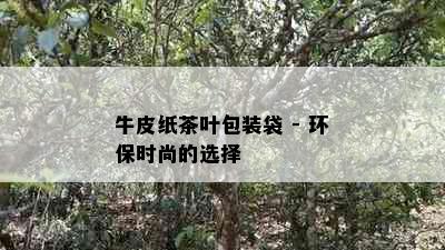 牛皮纸茶叶包装袋 - 环保时尚的选择