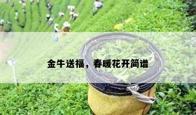 金牛送福，春暖花开简谱