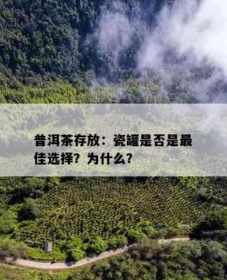 普洱茶存放：瓷罐是否是更佳选择？为什么？