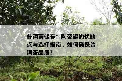 普洱茶储存：陶瓷罐的优缺点与选择指南，如何确保普洱茶品质？