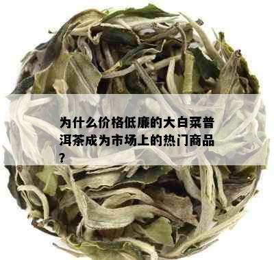 为什么价格低廉的大白菜普洱茶成为市场上的热门商品？