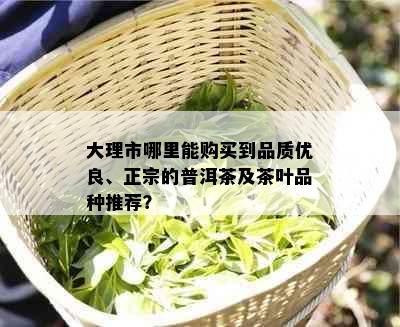 大理市哪里能购买到品质优良、正宗的普洱茶及茶叶品种推荐？