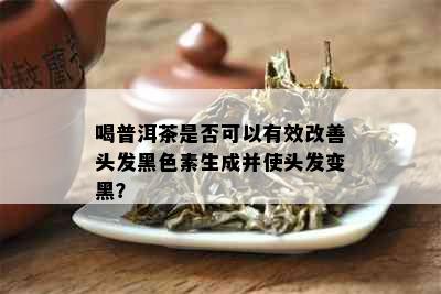 喝普洱茶是否可以有效改善头发黑色素生成并使头发变黑？