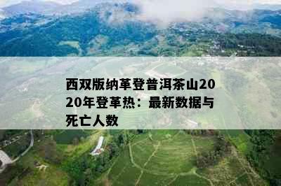 西双版纳革登普洱茶山2020年登革热：最新数据与死亡人数