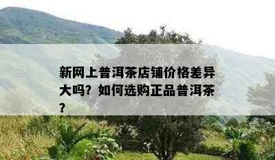 新网上普洱茶店铺价格差异大吗？如何选购正品普洱茶？