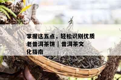 掌握这五点，轻松识别优质老普洱茶饼 | 普洱茶文化指南