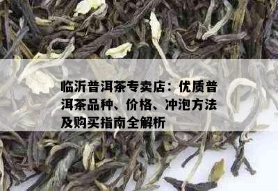 临沂普洱茶专卖店：优质普洱茶品种、价格、冲泡方法及购买指南全解析