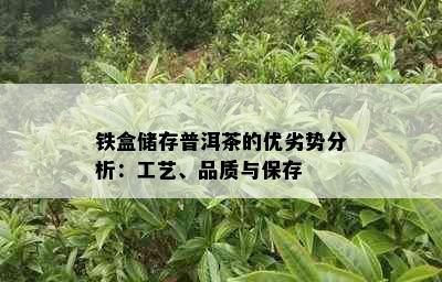 铁盒储存普洱茶的优劣势分析：工艺、品质与保存