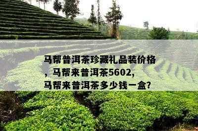 马帮普洱茶珍藏礼品装价格，马帮来普洱茶5602,马帮来普洱茶多少钱一盒？