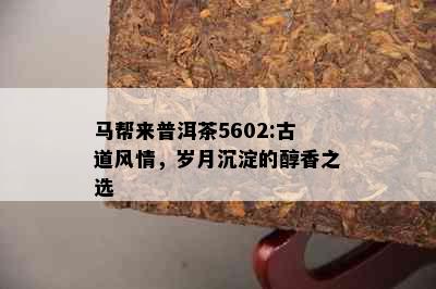 马帮来普洱茶5602:古道风情，岁月沉淀的醇香之选