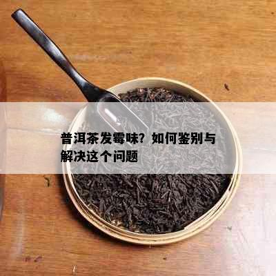 普洱茶发霉味？如何鉴别与解决这个问题