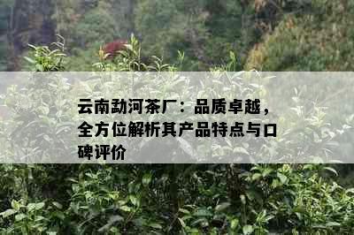 云南勐河茶厂：品质卓越，全方位解析其产品特点与口碑评价