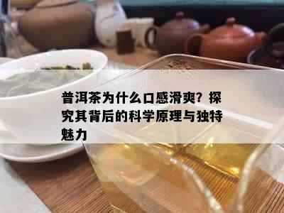 普洱茶为什么口感滑爽？探究其背后的科学原理与独特魅力