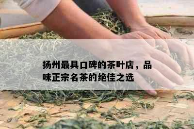 扬州更具口碑的茶叶店，品味正宗名茶的绝佳之选