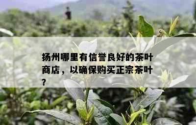 扬州哪里有信誉良好的茶叶商店，以确保购买正宗茶叶？