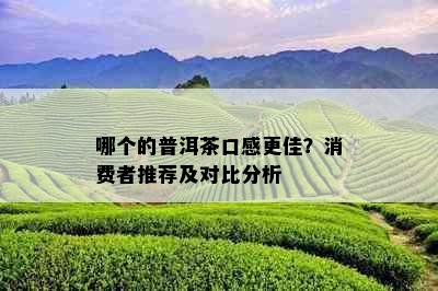 哪个的普洱茶口感更佳？消费者推荐及对比分析