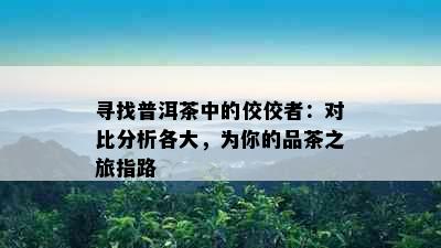 寻找普洱茶中的佼佼者：对比分析各大，为你的品茶之旅指路