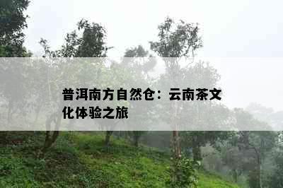 普洱南方自然仓：云南茶文化体验之旅