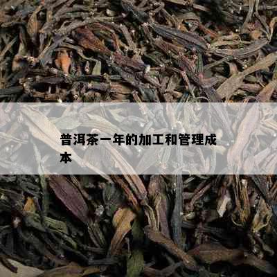 普洱茶一年的加工和管理成本