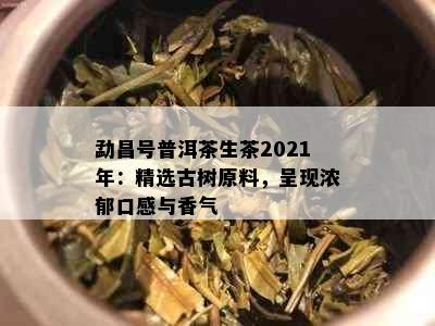 勐昌号普洱茶生茶2021年：精选古树原料，呈现浓郁口感与香气