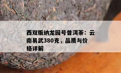 西双版纳龙园号普洱茶：云南易武380克，品质与价格详解