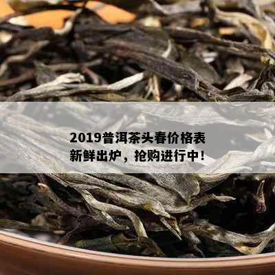 2019普洱茶头春价格表新鲜出炉，抢购进行中！