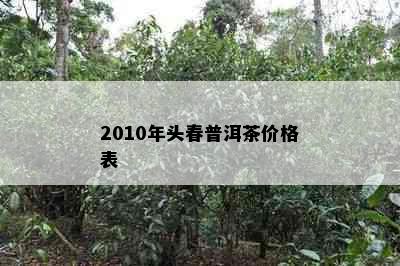 2010年头春普洱茶价格表